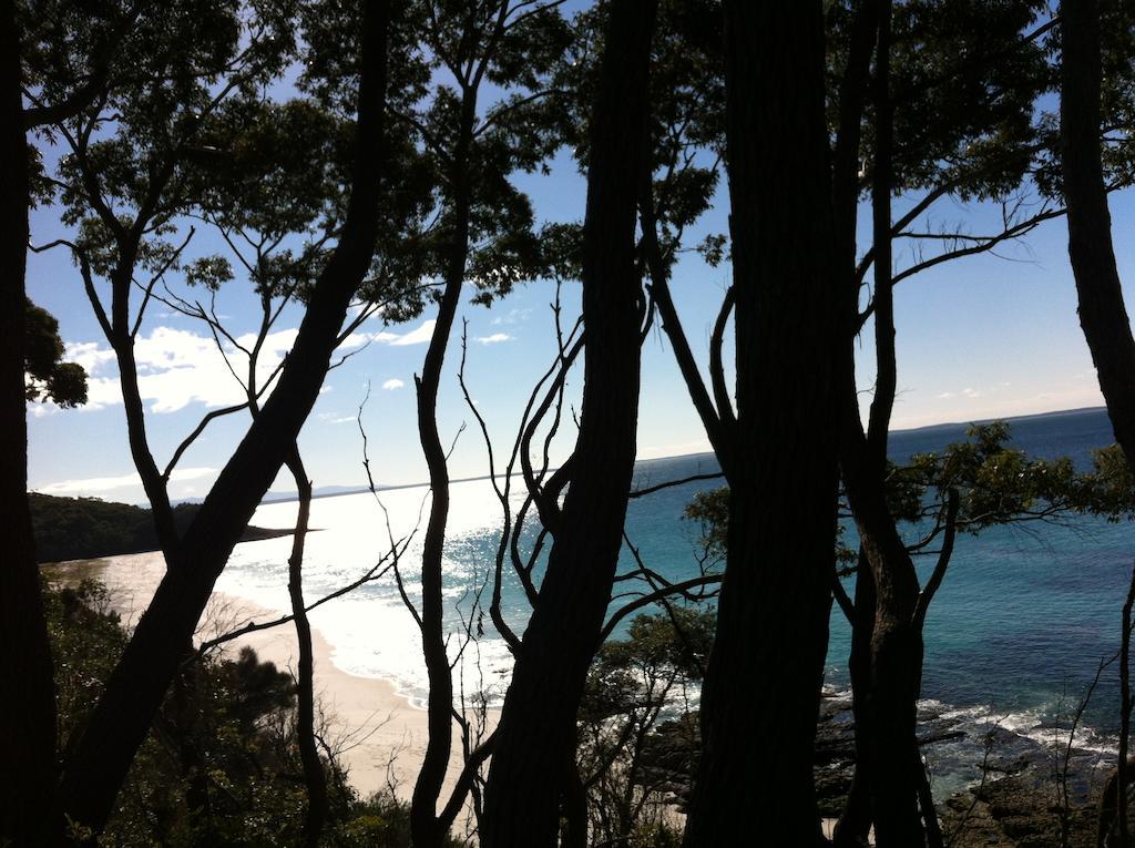 Hyams Beach - A Secret Treasure Phòng bức ảnh